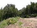 Wanderung - Teneriffa - Galarunde