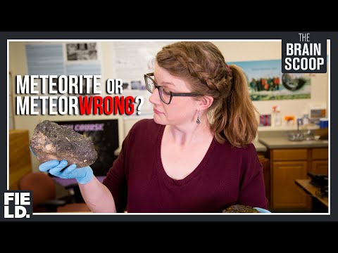 Meteorite or MeteoWrong?