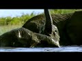 Unsere Erde Filmtrailer