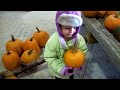 Chloe @ the pumpkin farm.mov