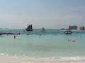 Snokeling in Destin