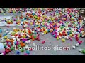 los pollitos dicen pio pio - canciones infantiles