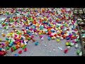 los pollitos dicen pio pio - canciones infantiles