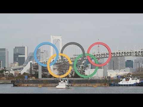 動画