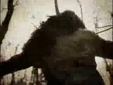 Youtube Video Cla2IF5jw3A