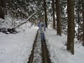 Jigokudani Yaen-koen Wild Monkey Onsen 2