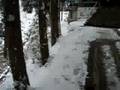 Jigokudani Yaen-koen Wild Monkey Onsen 2