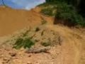 Borneo Off Road 4 x 4 Cross Country - Meratus Mountain