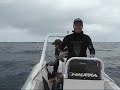 Ca�a-sub no AZUL