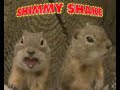 prairie dog dance (also shake)