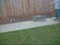 2 catch a possum