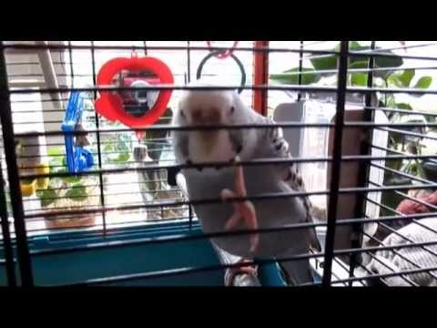 Christmas Vacation - JustConnect Vlog #1 - Dec25toDec30 2012