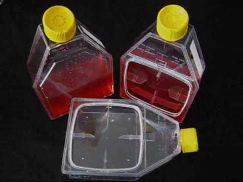 how to get rid of rnase