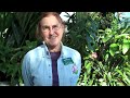 What's your favorite part of Lewis Ginter Botanical Garden? http://t.co/hiFsxosP