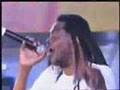 Papa Winnie - Jamaica Holidays