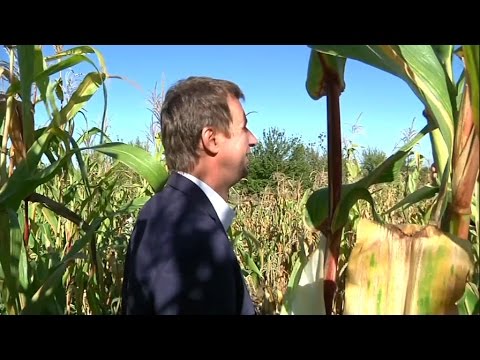 Image de prévisualisation YouTube