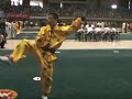 ?? monkey kung fu ?? monkey kung fu