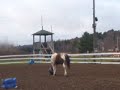 Canelle joue au ballon