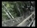Tikal (1/3)
