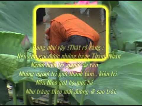 thich tam man - http://www.nhacphat.net | Nhất bộ nhất bái - ĐĐ. Thích Tâm Mẫn | Qua địa phận TP. Quảng Ngãi Thầy khởi hành từ Chùa Hoằng Pháp - TP HCM đến núi Yên Tử - Quản...