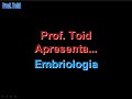 Biologia: Estudo da formação do Embrião 03 (Prof. Toid)