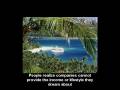 (Mlm Network Marketing) & Home Base Opportunity Success ...