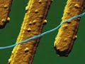 Kavli Foundation: Introduction to Nanoscience