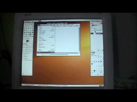 how to cure a windows virus with ubuntu linux