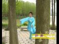 Introduction to Shidao-Tu-武当三丰自然派弟子涂师道太极全套演练-