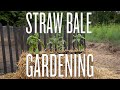 Straw Bale Gardening