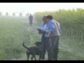 Rott at Work-Loreley dcB_Avv. fase A.mpg