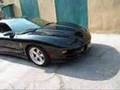 Trans Am WS.6