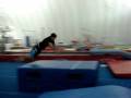 videos de Long frontflip over box
