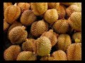 Ucapan Perasmian Pesta Kubis Sabah 2008 Part1 Ucapan Perasmian Pesta Kubis Sabah 2008 Part1