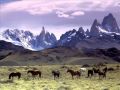 Sariri (Bolivia) - Sikus