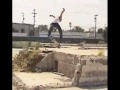 Paul Rodriguez Nike SB