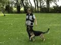 VVVDH PROVINCIAAL KAMPIOENSCHAP dargo vom banholz in B