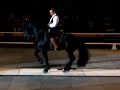 This is Rene Gassers Fresian stallion Apollo dancing with a woman. You cant really see her but this is only a short bit of what they did. They danced the Flamenco