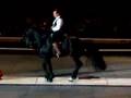 Rene Gassers Fresian stallion Apollo dancing