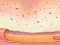 Inflammatory Response