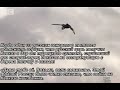 Кадыров, Путин - Тактика Ермолова. (Часть 2)