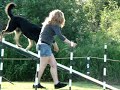 Nova 1st AAC agility Trial Nova 1st AAC agility Trial
