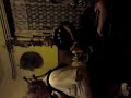 Black Bear - in the pub