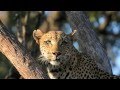 Sudafrica-Zimbabwe-Botswana-Namibia.mov