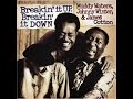 this is from the cd 'breakin' it up, breakin' it down' with muddy waters, johnny winter and james cotton.  only johnny winter sings on this track.  i got the cd because it had muddy water's name on the front, but i was really taken with this song.  

tracklist for this cd:

1. black cat bone/dust my broom  
2. can't be satisfied  
3. caledonia  
4. dealin' with the devil  
5. rocket 88  
6. i done got over it  
7. how long can a fool go wrong  
8. mama talk to your daughter  
9. love her with a feeling  
10. trouble no more  
11. got my mojo workin'