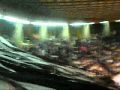 Kup Radivoja Koraca 2010 Nis - Pune tribine...