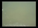 Underwater