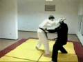 Shinbukan Jujutsu