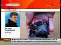 Opasnye mobil\