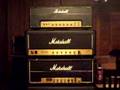 first year stock 1981 Marshall JCM 800 2204